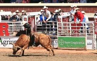 Calgary Stampede