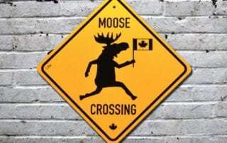 Moose crossing road signs