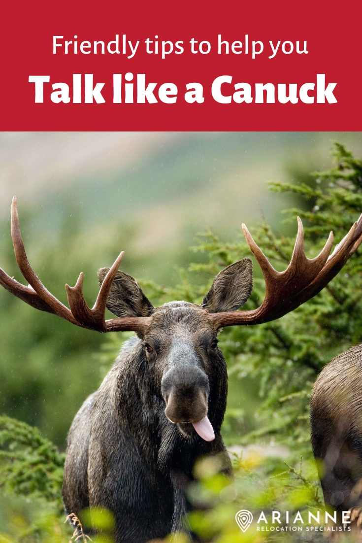 Talk like a Canuck pin